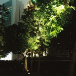 Parc urbain, vue nocturne des building